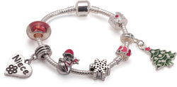 Adult's Teenagers 'Niece Christmas Dream' Silver Plated Charm Bracelet by Liberty Charms